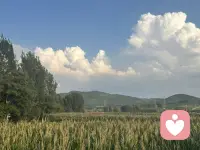 没有所谓的康庄大道，哪片领域 都有它的一地鸡毛配图