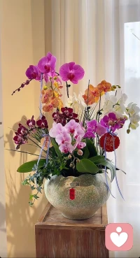 为自己活一天，不是谁的子女，不是谁的配偶，也不是谁的父母，做一天自己配图