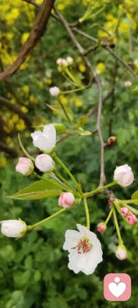 肉眼看世间全是名利 法眼看世间皆是因果 春夏秋冬四季更迭即是常态  人生起伏不定亦是正常配图