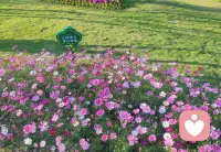 很多人都想要稳定的长期关系。但长期关系的核心其实只有两件事：你要什么、你给什么。 
你想要对方提供什么，就必须想清楚：你能为这段关系贡献什么。
 
如果这两件事不清晰，关系就会一直混乱。 一句话总结： 需求合理，但关系从来不是单向索取。

如果你也在这样的关系里迷茫：只知道自己想要什么，却看不清能为对方提供什么；总在索取与失望中内耗，长期关系迟迟无法稳定……

欢迎私信我，我陪你理清自身需求与价值，建立双向奔赴、平衡稳定的亲密关系。配图