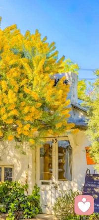 别硬扛，情绪需要出口，心灵需要休息。配图