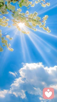 有时，‘丧’不是问题，而是身体在提醒：你该关怀自己了。

不必急着振作，先像对待最好的朋友一样，问问自己：‘你累了吗？需要我为你做点什么？’

真正的力量，始于对自己的温柔察觉。配图