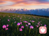 你对自己说话的方式，就是内心世界的风水。

如果总是批评、苛责，内在就会变得荒芜而紧张。试着把“我怎么又搞砸了”换成“这次没做好，我看到了，下次可以怎么调整？”

语言是温柔的咒语。从今天起，对自己念一些美好的咒语吧。配图