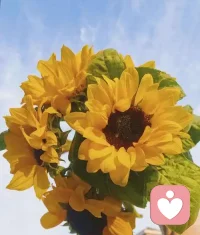 慢慢来，你已经很努力了。配图