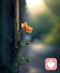  那些难熬的时刻，不是为了打败你，而是为了让你更懂自己。配图