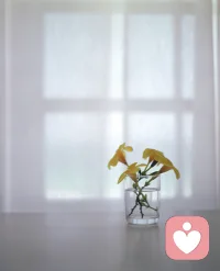 真正的自愈，不是忘记伤痛，而是学会和自己好好相处。配图