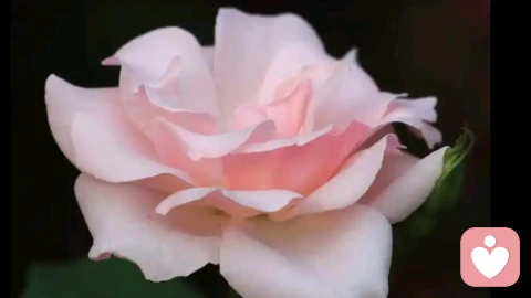 守住人际边界：不入侵他人，也不被他人侵犯