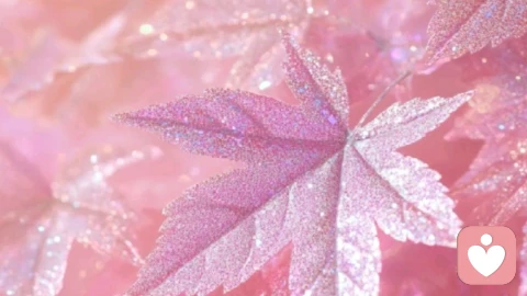 真正的强大，是允许自己低落后，依然能感受一片落叶的温柔