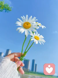 你内心的平静，胜过外界的喧嚣。无论外界如何评价，你都拥有对自己生命最深的知晓和确认。配图