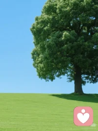 人最好的状态，是像一棵树。根扎稳了，便不再畏惧风的形状。你可以随风摇曳，也可以静静生长。自由，是知道自己是谁，从而不害怕以任何姿态存在。配图