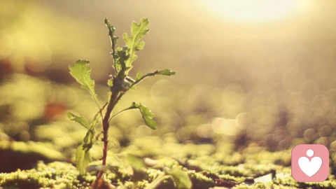 允许自己，拥有独一无二的生长节奏