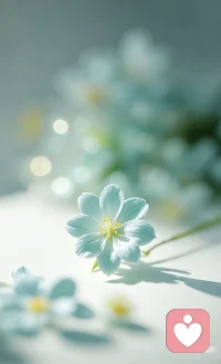 当你人格独立，你进入一段关系，不再是出于“我需要你来填补我的空洞、证明我的价值”，而是 “我已经是一个完整的人，我欣赏你，并愿意与你分享我的世界” 。这样的爱，是分享，不是索取；是共鸣，不是寄生。配图