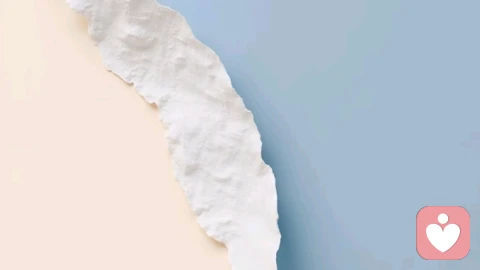 人格：你不是一座孤岛，而是一个不断迭代的生态系统