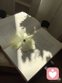 很多时候我们都在追赶，却忘了停下来看看身边的细碎温柔。阳光落在书页上，晚风穿过街道，陌生人一个善意的眼神，家人一句平淡的叮嘱。这些不起眼的瞬间，悄悄治愈着我们的焦虑与不安。心理上的自愈，往往就藏在这些不被注意的时刻里。不必急着变好，慢慢来，你正在被生活温柔地爱着。配图