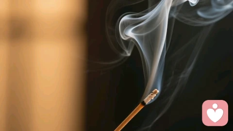 直觉：你身体里的古老智者，与未被言说的真相