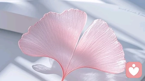 自我的整合：从内心议会到完整国度