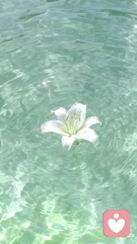 你心里住着一个辩论队。正方说“冲刺”，反方喊“停下”；甲方要“完美”，乙方要“躺平”。内耗，就是他们日夜不休地开会，耗尽你的能量，却从未通过任何有效决议。 你的任务，是成为那个有魄力的主席，果断敲锤：“现在休会，全体静默，行动优先。”