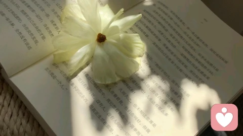 情绪韧性：你心灵的“抗风浪系统”与动态恢复力