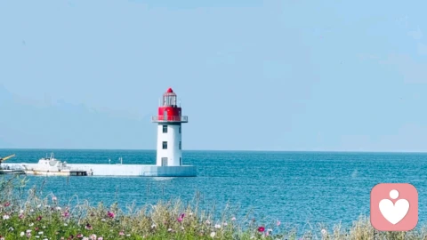 心理地标：你内心地图上，那些决定你如何行走的隐秘坐标