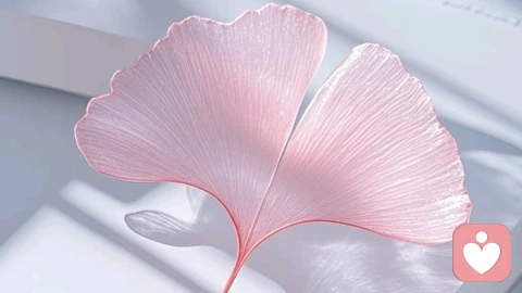 内在议会：当你的内心，拥有不止一种声音