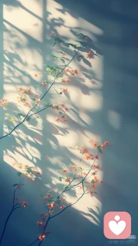 午后，看阳光把树影投在墙上。风来，影子摇曳如舞；风止，影子静默如画。你的念头也如此——不必追着每个晃动的影子奔跑，只需欣赏这光影交错的剧场，知道自己是不动的墙。配图