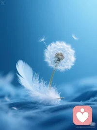 夕阳是天空为今天所有心事办理的暂住证。允许它们在此刻合法地流浪、发光，然后被更深的夜色温柔收容。 你不需要解决什么，只需要看着天色，完成从“经营者”到“观察者”的权限交接。配图