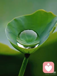你不必成为整场雨季，只需做其中一颗——完整地坠落，然后消失。 存在过，就是全部意义。配图