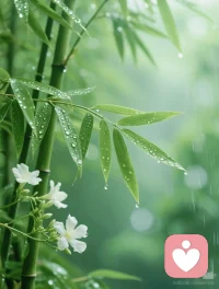 雨声是自然界最慷慨的白噪音。它平等地覆盖一切——繁忙的、孤独的、光鲜的、残破的。 在雨里，所有故事都被调成了相同的、沙沙的背景音。此刻，你可以合法地，成为万物中寂静的一部分。