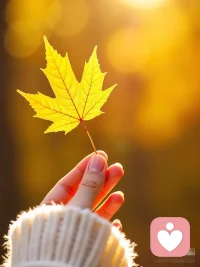 生活不是一张严丝合缝的拼图，必须把所有碎片都归位才能前行。它更像一片秋天的森林，你只管往前走，那些飘落的叶子，会以你意想不到的温柔，一片、一片，恰好落在你的肩上。允许一切发生，本身就是最强大的秩序。配图