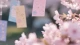 心理免疫：如何在情绪“生病”时，启动你的内在自愈力