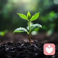 你心里那些尚未实现的愿望，不是空头支票。它们是你在未来时光中，为自己寄存的种子。 每一点向前的尝试，都是往这个信托账户里存入的阳光和雨水。时间会负责让它们复利增长，破土而出。配图