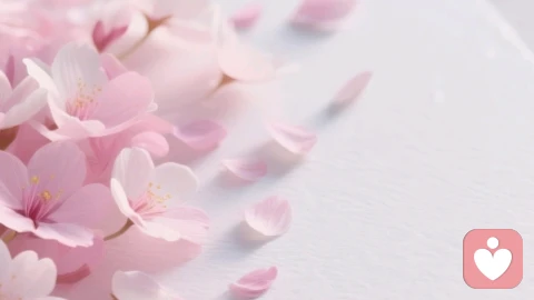 心理消化：如何告别“精神积食”，活出轻盈的内在状态