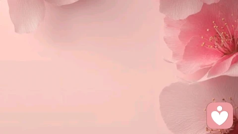 心理回声：为什么你总被同一类人事物触动，以及如何打破这个循环