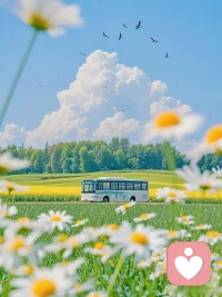 打开今日待办清单，第一条写着：“对自己好一点。” 后面的所有事项，都得排在它后面。