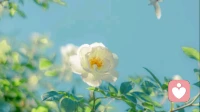 心理滤镜：如何识别并调整你内心那副“有色眼镜”