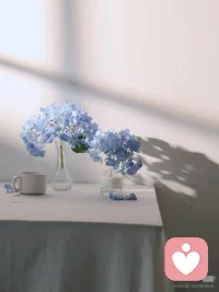 ✨不必追逐世间的星光，你自身就带着温柔光芒，从容自在，认真做独一无二的自己

慢慢接纳所有不完美，在细碎日常里积攒暖意，静下心来，静待自己慢慢发光🌟配图