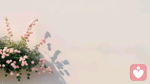 心理脚手架:那些帮你撑起人生的临时结构,何时该拆除?