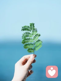 有些事不用急着找答案，时间会慢慢给你回应。就像种子埋进土里，你需要做的只是浇水、晒太阳，然后静静等待。该发芽的时候，它自然会发芽。你也是，该来的美好，一件都不会少。配图