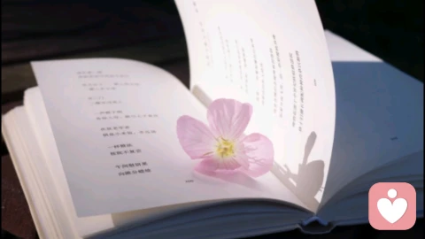 心理存档:如何将你的人生经历,整理成一座井井有条的“记忆档案馆”