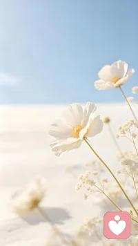 好事往往发生在下一个转弯处，只要你愿意继续往前走。不要因为一时的低谷就否定了整段旅程，暴风雨过后，总会有彩虹。你要相信，所有的等待和坚持，都是为了遇见更好的风景。配图