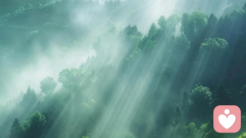 心理回声：如何分辨你内心的声音，哪些是真实的自己，哪些是过去的回响