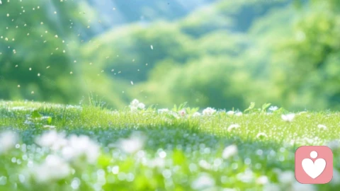 心理韧草：在狂风暴雨中，学会像草一样弯曲，而不是像树一样折断