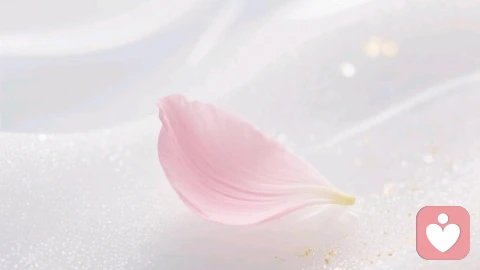 心理断舍离:扔掉这4样东西,你的生活会轻松很多
