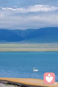 当你觉得撑不下去的时候，说明你正在走上坡路。下坡路才轻松，而上坡路才能带你去更高的地方。咬咬牙，翻过这座山，你会看到不一样的风景。