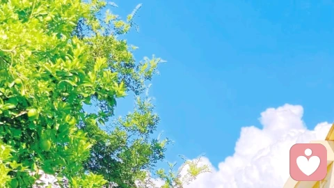心里评论员:如何与内心的批评声和解,而不是被它支配