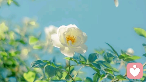 如何学会接纳，让生活变得轻盈