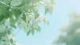 心里种子：相信春天，找回希望