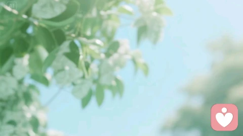 心里种子：相信春天，找回希望