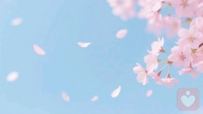 心里慢递箱-如何在总想“立刻回复、马上变好”的日子里，把催促自己的信先放一放\n\n