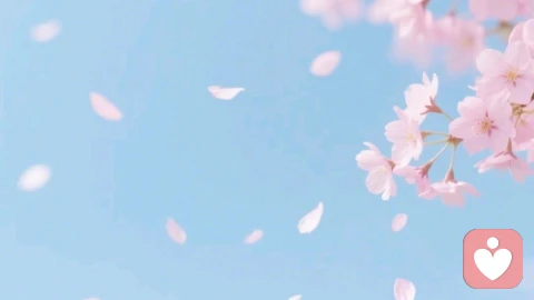 心里旧书房——总怕“状态不对”越修越乱时,怎么把内耗重新归好架